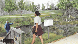 This rendering shows how the banks of Mill River