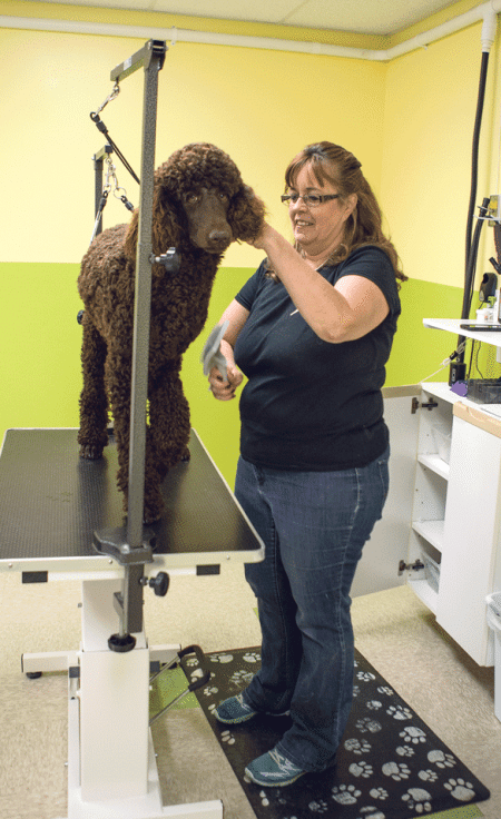 Groomer Kathy Jarvis works on a patient customer at the Northampton site.