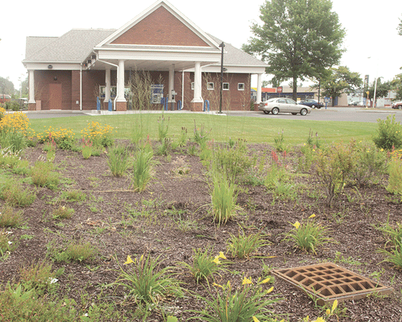 The branch pre-treats stormwater runoff