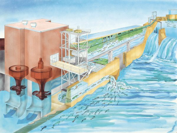 This illustration shows how the fishway