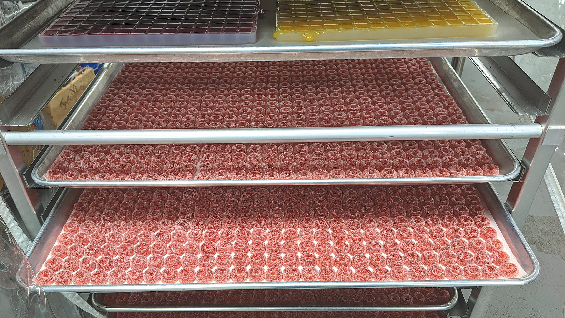 Trays of CBD-infused gummies
