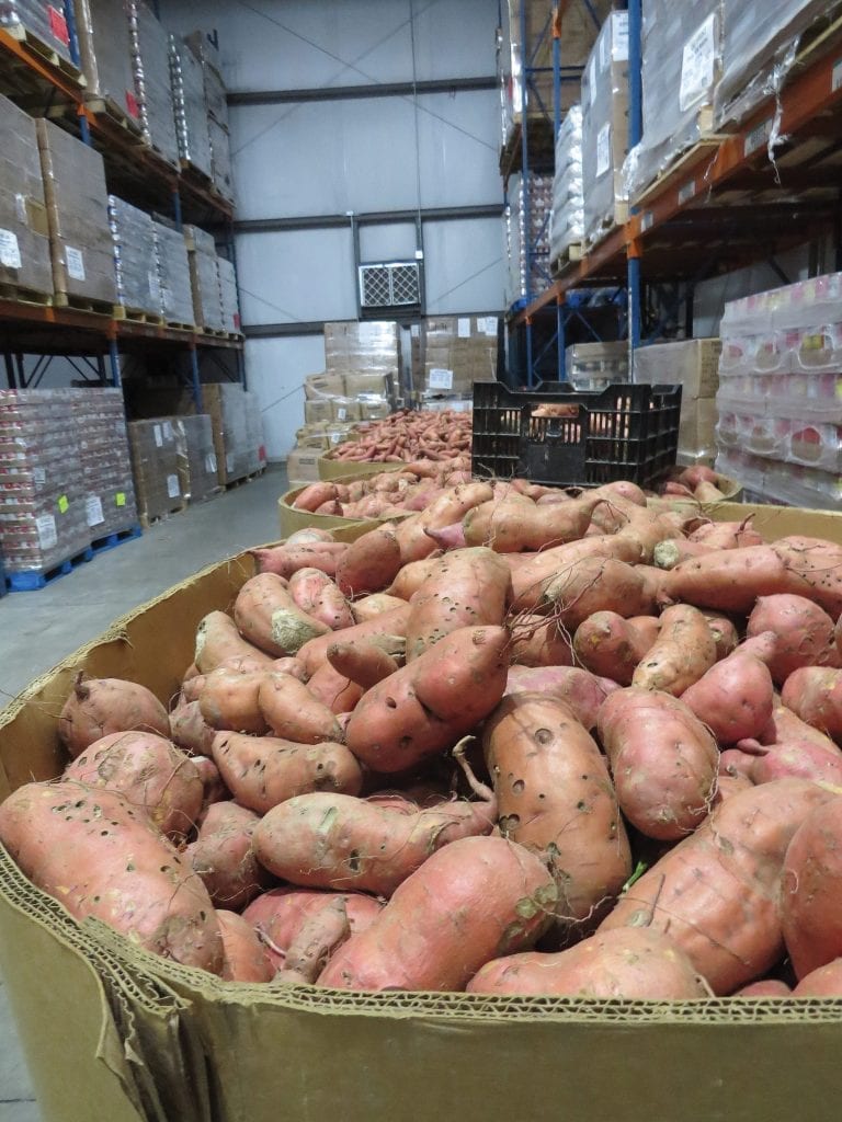 Sweet potatoes from local farms