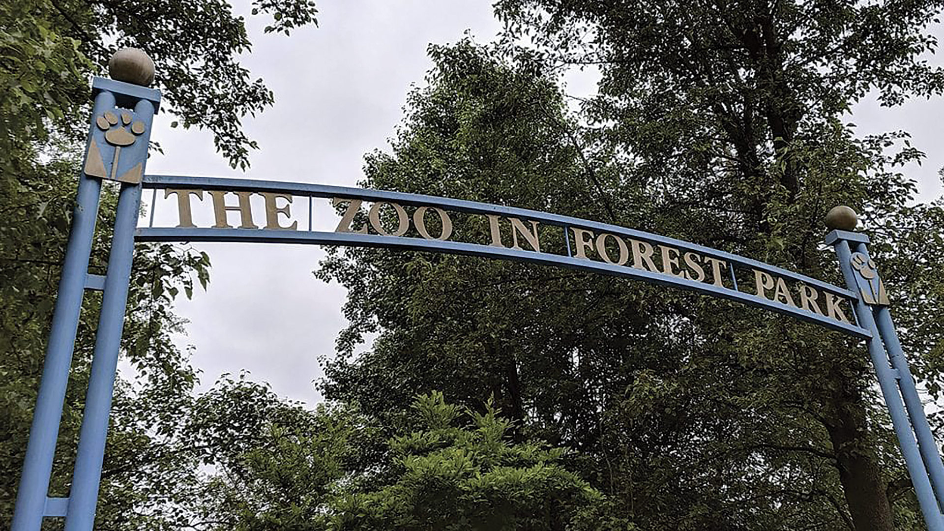 The Zoo in Forest Park