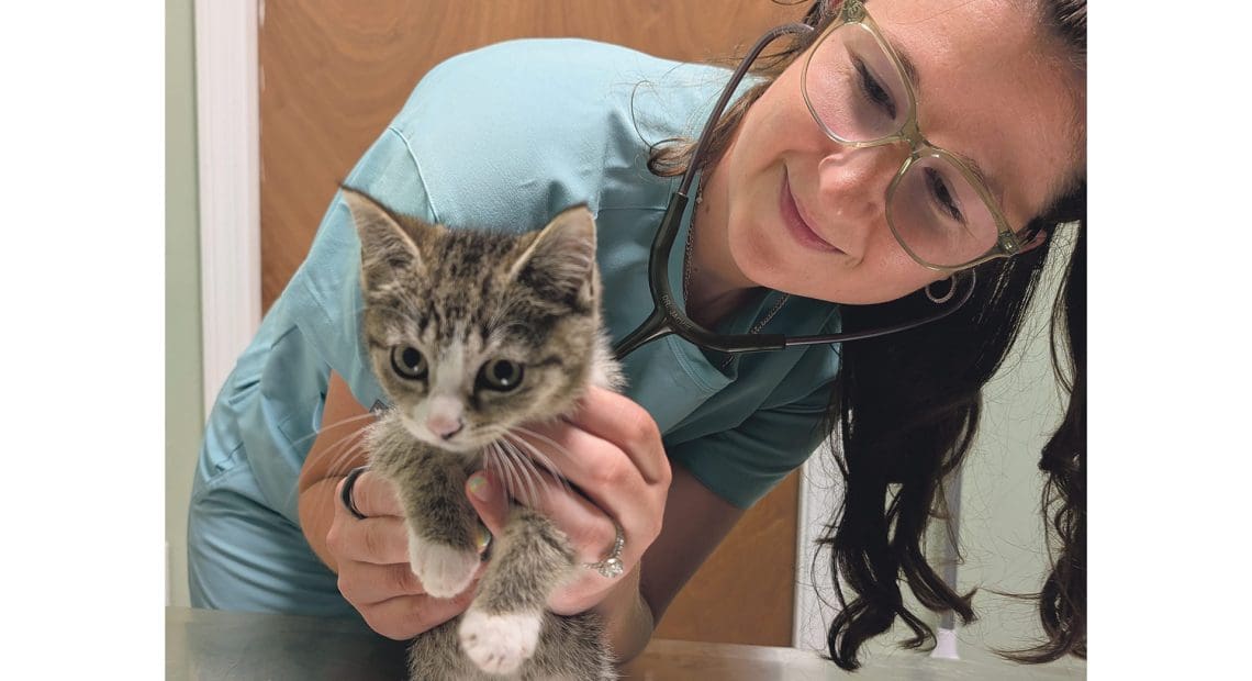 Dr. Jackie Fix shares a moment with a kitten during an exam.