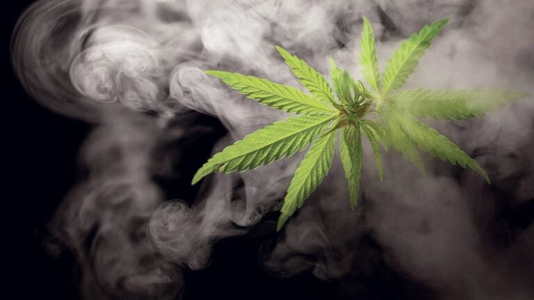 UpInSmokeCannabis